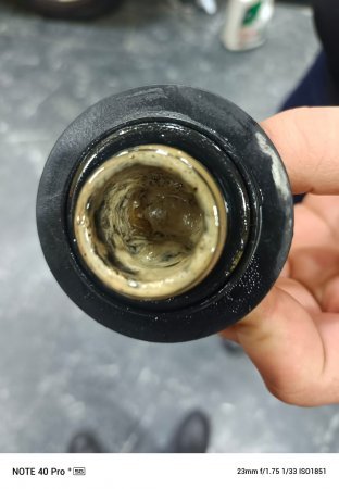 BERLİN CARSIN VƏTƏNDAŞA VURDUĞU 4500 MANATLIQ ZİYAN.