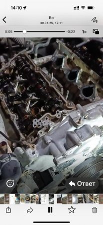 BERLİN CARSIN VƏTƏNDAŞA VURDUĞU 4500 MANATLIQ ZİYAN.