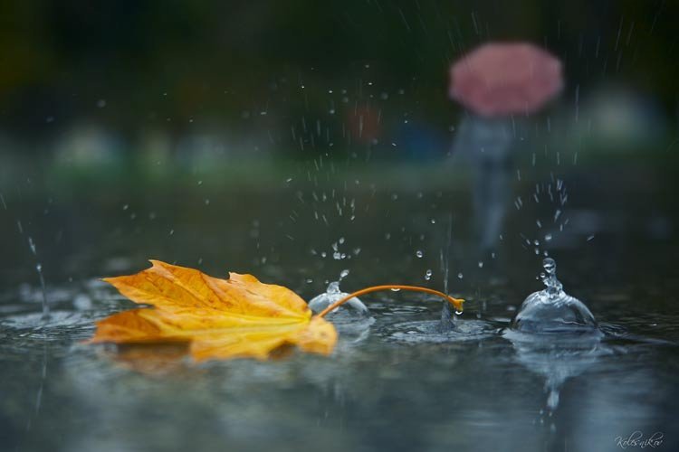 Sentyabrda orta aylıq temperatur iqlim normasından aşağı olub