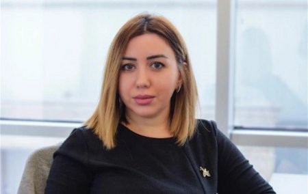 Kəmalə Məmmədova: "İlin sonunadək Ermənistan vətəndaş cəmiyyətinin nümayəndələri Bakıya səfər edə bilərlər"