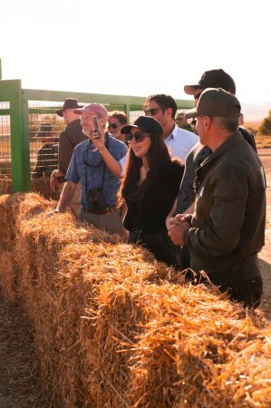 Leyla və Arzu Əliyevalar Qaxda açılışda - Fotolar
