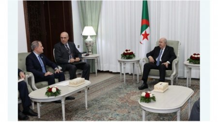 Əlcəzair Prezidenti Əbdülməcid Tebbune nazir Ceyhun Bayramovu qəbul edib