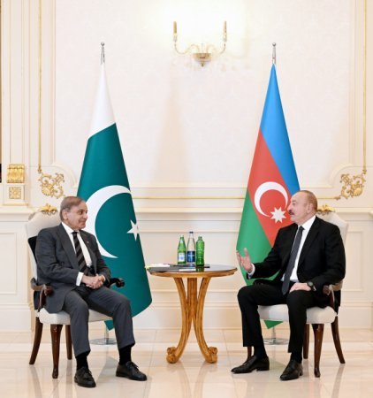 Prezident Şahbaz Şəriflə məhdud tərkibli görüş keçirdi - Fotolar