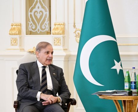Prezident Şahbaz Şəriflə məhdud tərkibli görüş keçirdi - Fotolar