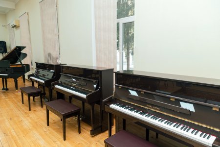 Leyla Əliyevanın Mingəçevir səfərindən - Fotolar