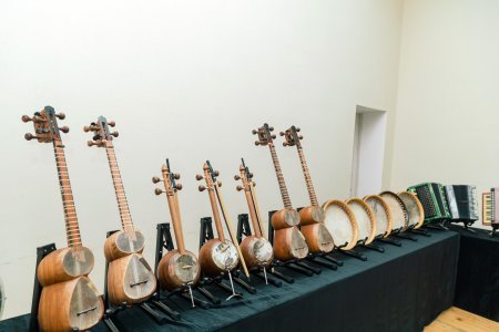 Leyla Əliyevanın Mingəçevir səfərindən - Fotolar