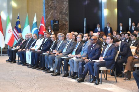 Bakıda D-8 Media Forumu keçirilir - Fotolar