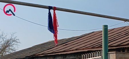 Cavidan dəfn olundu - Fotolar