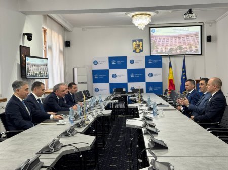 Kamran Əliyev Rumıniyadadır - Fotolar