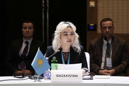 TDT-nin əmək, məşğulluq və sosial müdafiə nazirlərinin iclası keçirildi - Fotolar