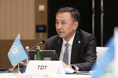 TDT-nin əmək, məşğulluq və sosial müdafiə nazirlərinin iclası keçirildi - Fotolar