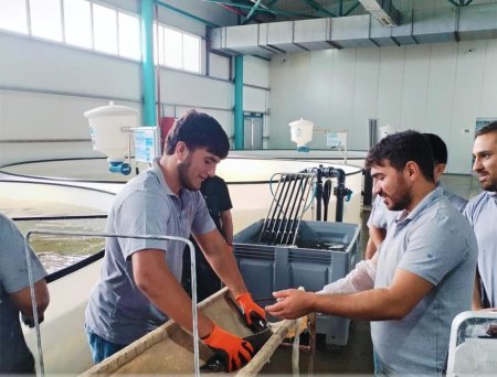 Neftçala Peşə Məktəbində tədris yeniləndi - Fotolar