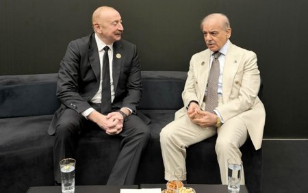 Prezident Şahbaz Şəriflə görüşdü - Fotolar