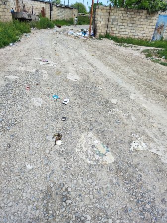 Lövhədə Hörmət, Reallıqda Laqeydlik:Şəhid Adına Yaraşmayan Mənzərə