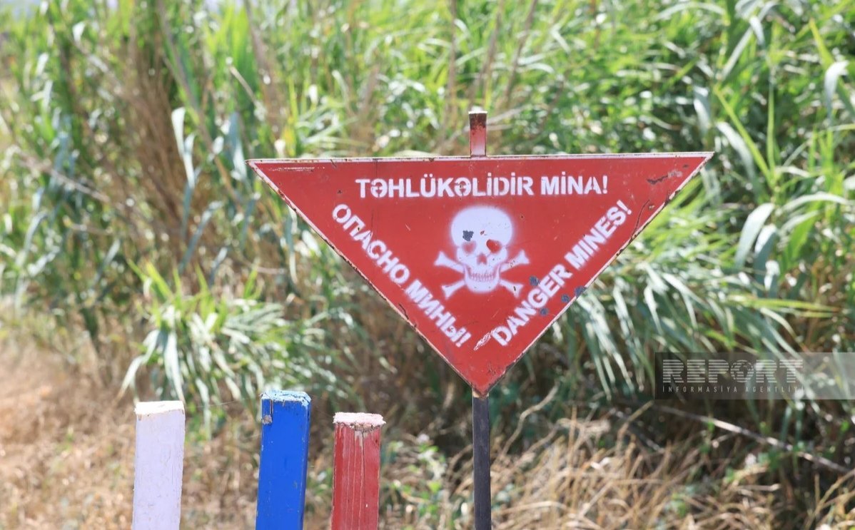 ANAMA sədri: Qarabağ və Şərqi Zəngəzur 1 milyondan çox mina ilə çirkləndirilib ANAMA sədri: Qarabağ və Şərqi Zəngəzur 1 milyondan çox mina ilə çirkləndirilib