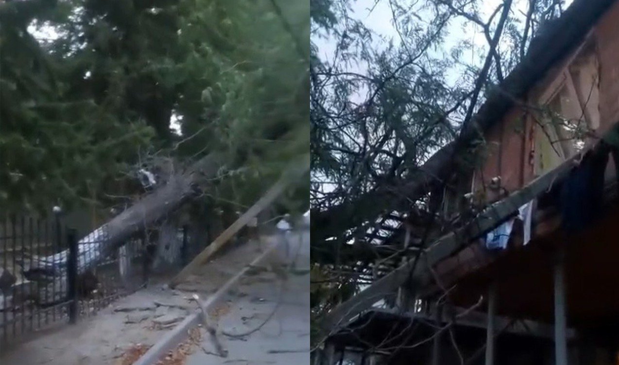 Uşaq bağçasının həyətindəki ağac binanın üstünə aşdı 