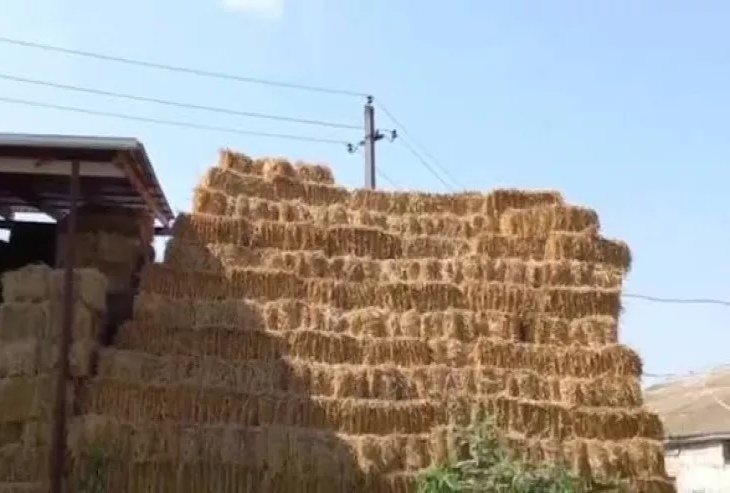 Meyiti ot tayalarının arasından tapıldı